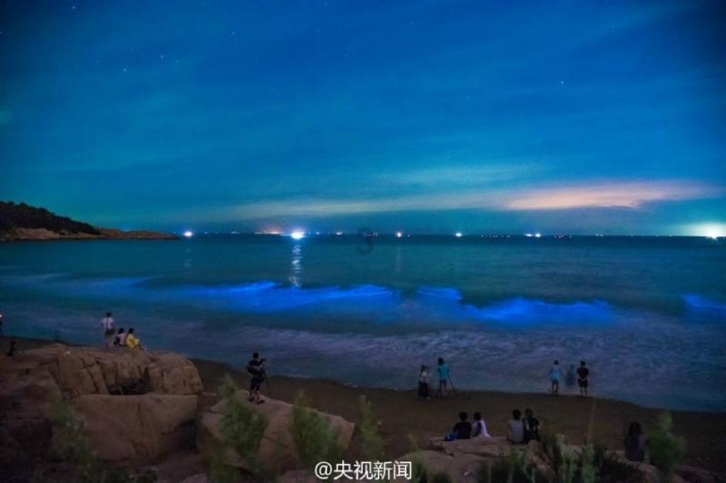 影视工厂