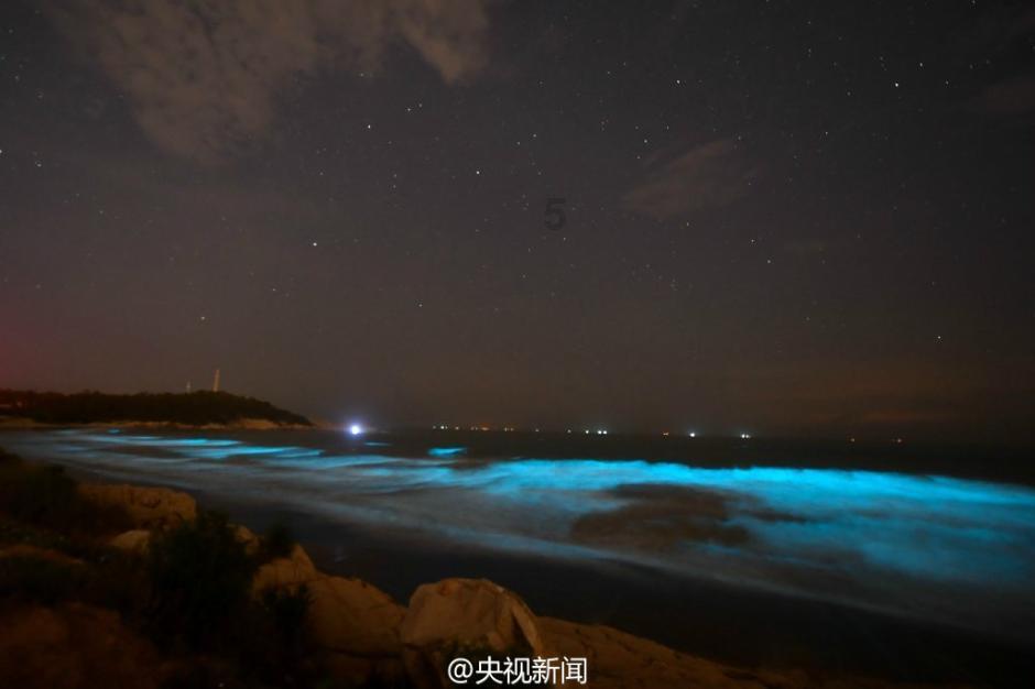 公主的阅读区