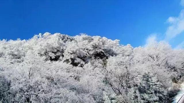 万词王
