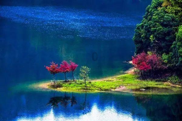 虫虫助手下载