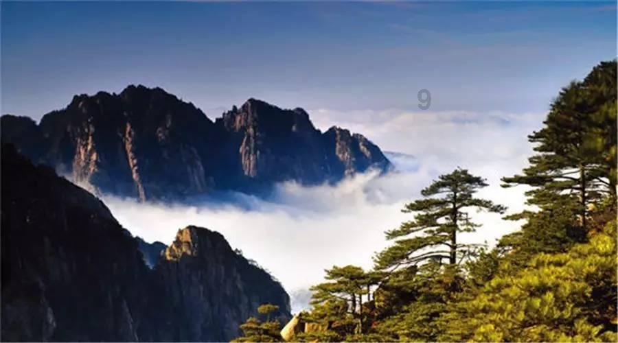 沪江开心词场