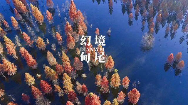 天上掉下个小猪猪