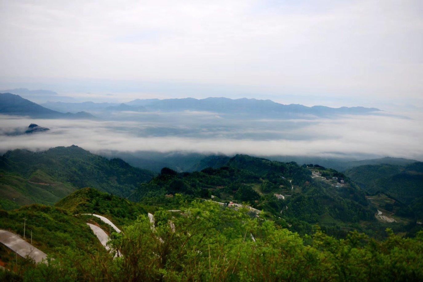 制作魅力香水