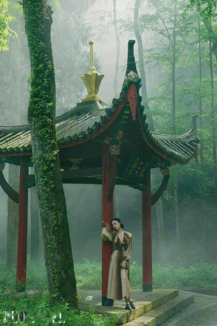 沪江开心词场