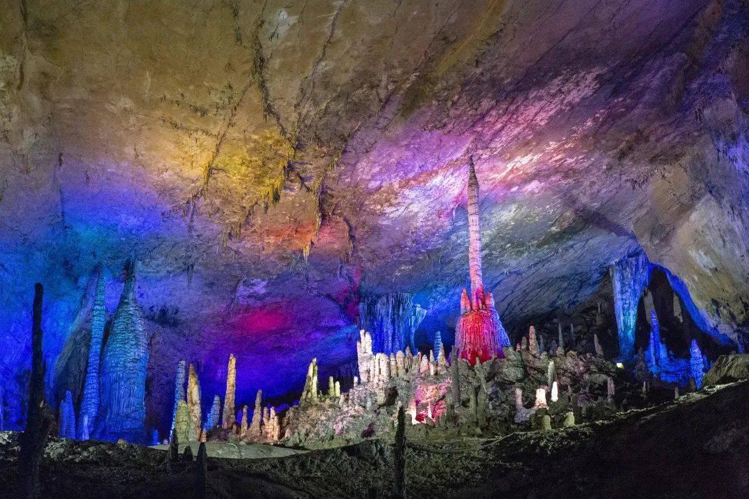 厦门“小白鹭”在新区研学