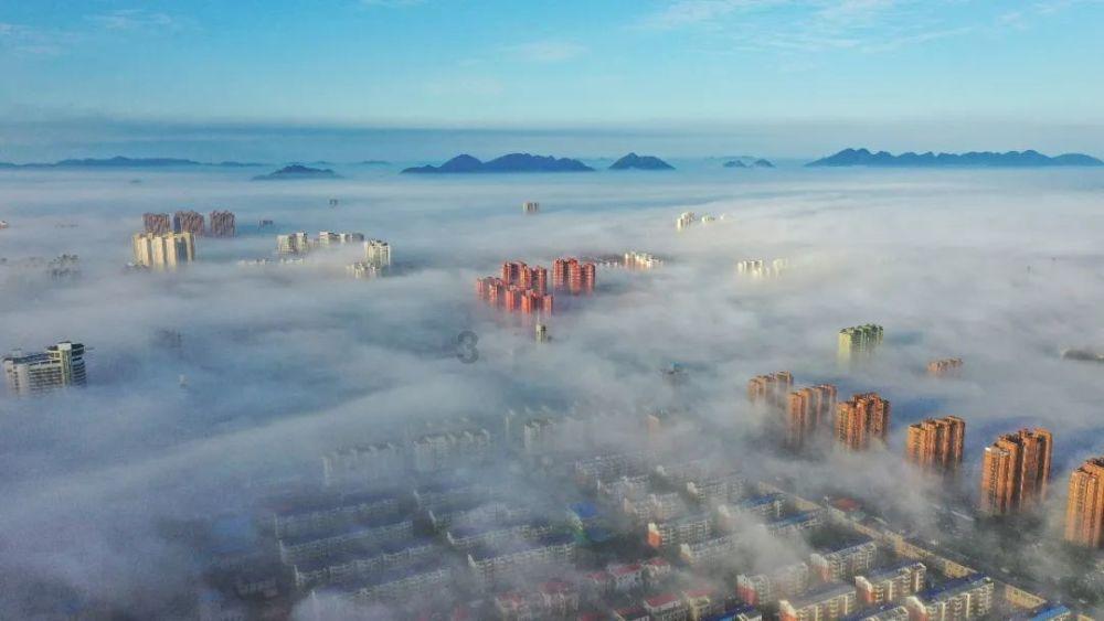 保鲜的猪腰子如何保存-专业问答社区