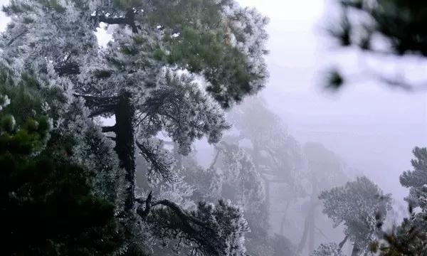 江西：雾凇染白庐山，游客登山赏景