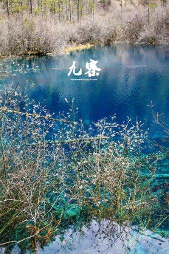 家庭意外