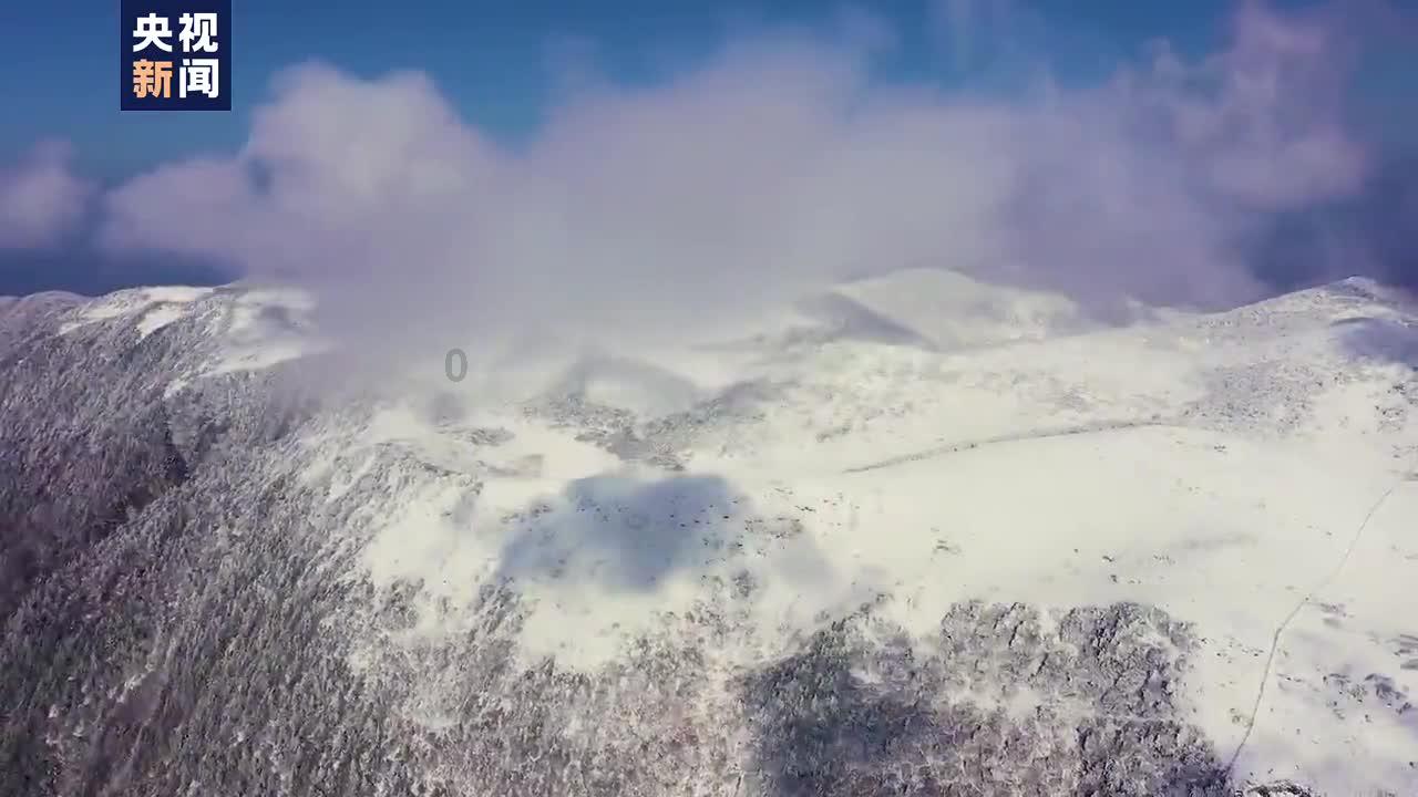 张天爱分享电影《我和我的父辈》片场花絮，花絮中记录了哪些日常？游戏画面