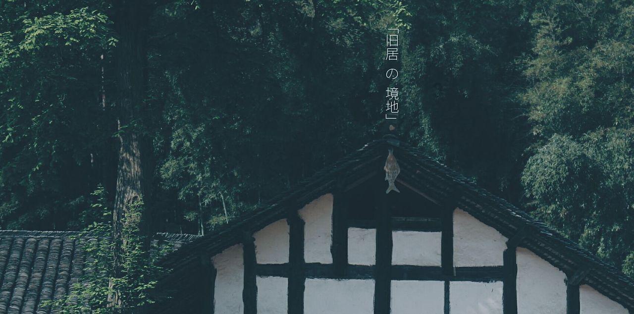 万词王