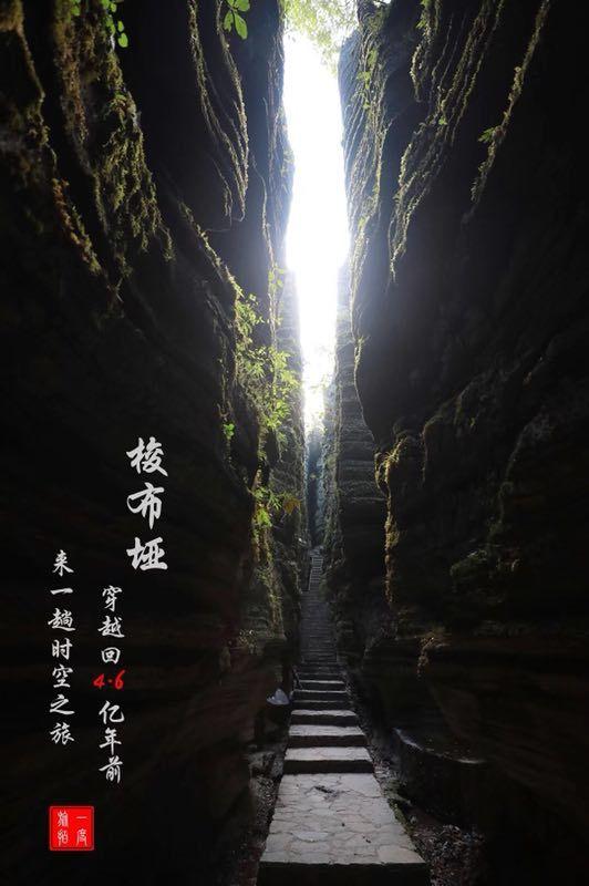 动物帮帮忙保卫家园