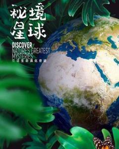 蜜蜂救援