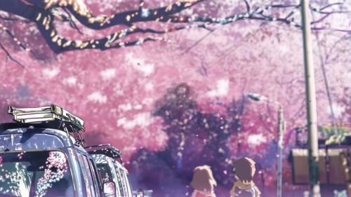 创作猫