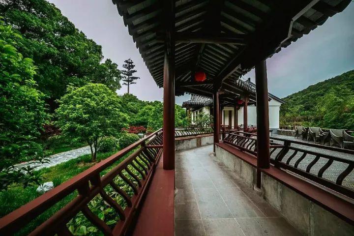 沃克为出轨生下私生子忏悔：开云称他很抱歉，不是故意的，都是他的错