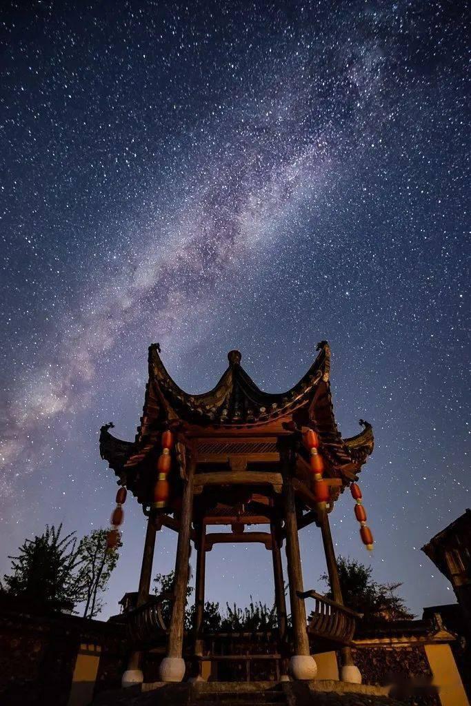 特种突击聪明的顺溜
