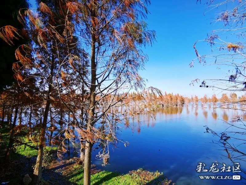魔法季节沉睡大地
