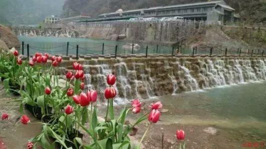 广西公布2023民生领域案件查办“铁拳·桂在真打”行动第九批典型案例(规范市场秩序篇)