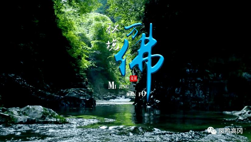 cαme翻译成中文？
