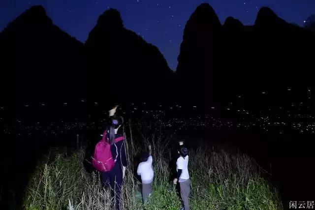 愤怒的小鸟