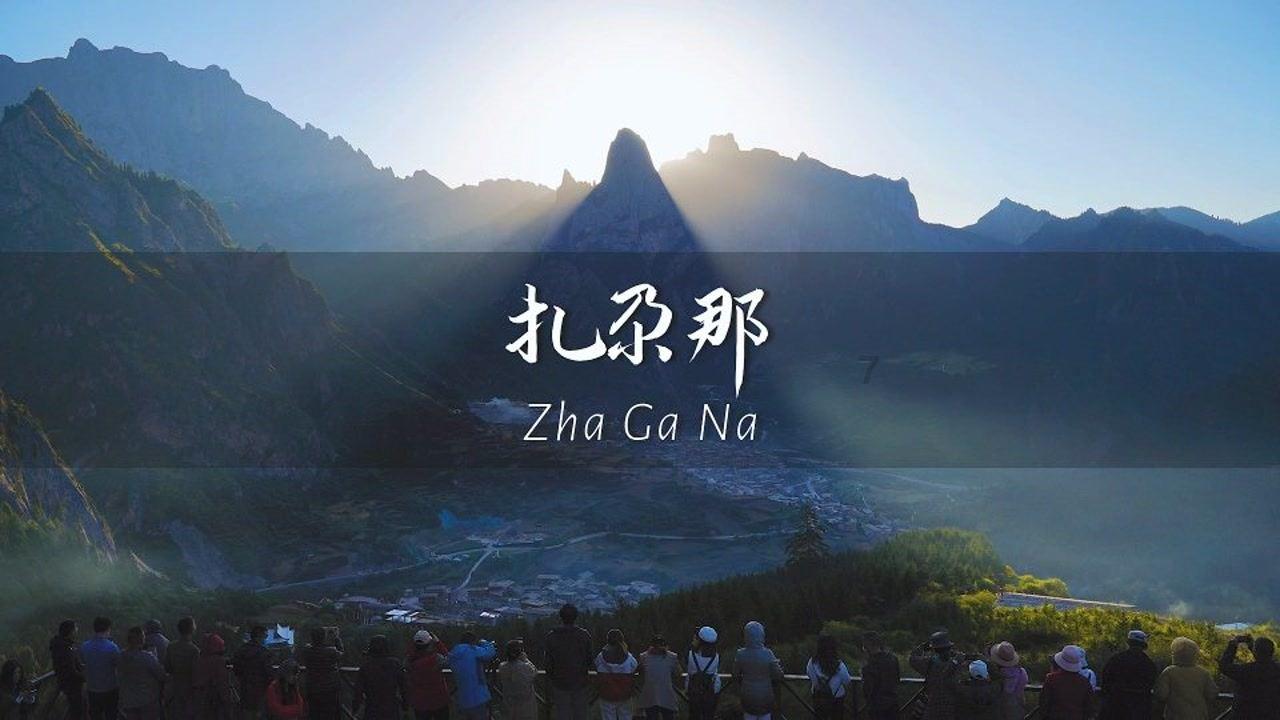 植物大战僵尸3