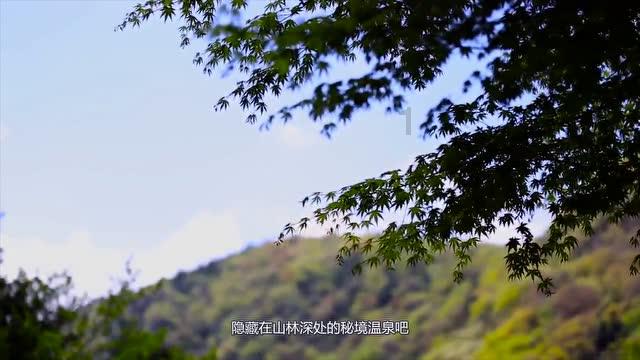 下游热情降温,甲醇上行驱动减弱