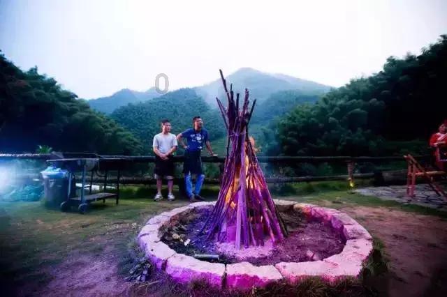 动物帮帮忙保卫家园