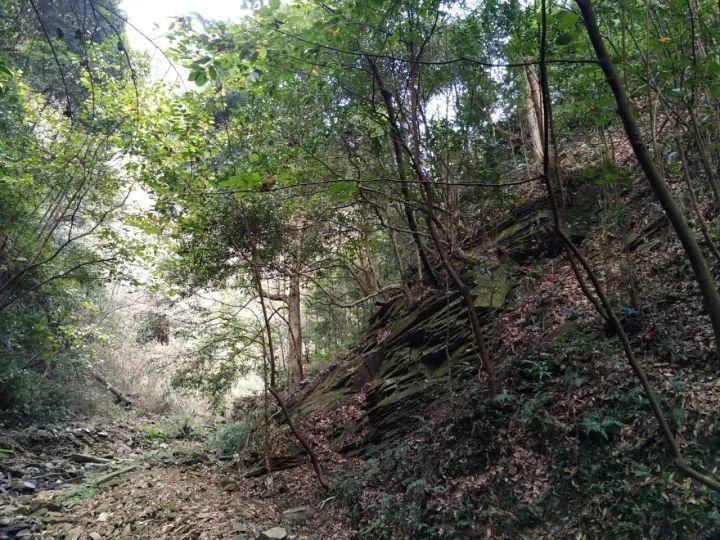 青蛙跳一跳