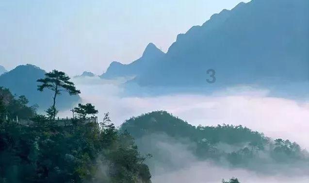 飞天小猪仔
