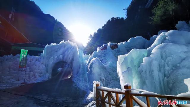 探秘这是什么鸟?喜鹊吗?知识星球,一起开启知识新世界