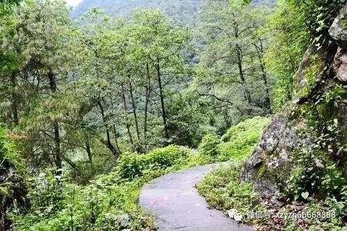 4人吃3000元，一顿奢华铁板烧，还是套餐划算，单点不小心就上万
