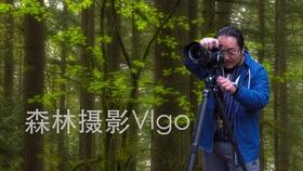 小猫钓鱼正版下载中文版