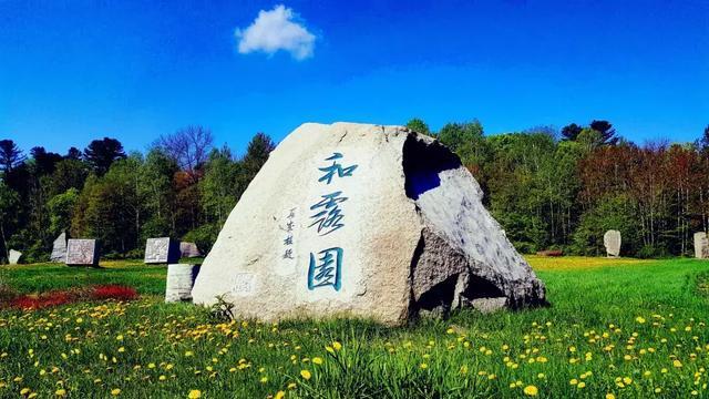 山东一急救车以拉错为由把伤员抬下车？接诊医生：现场两起车祸，我们接的是另一伤者的电话