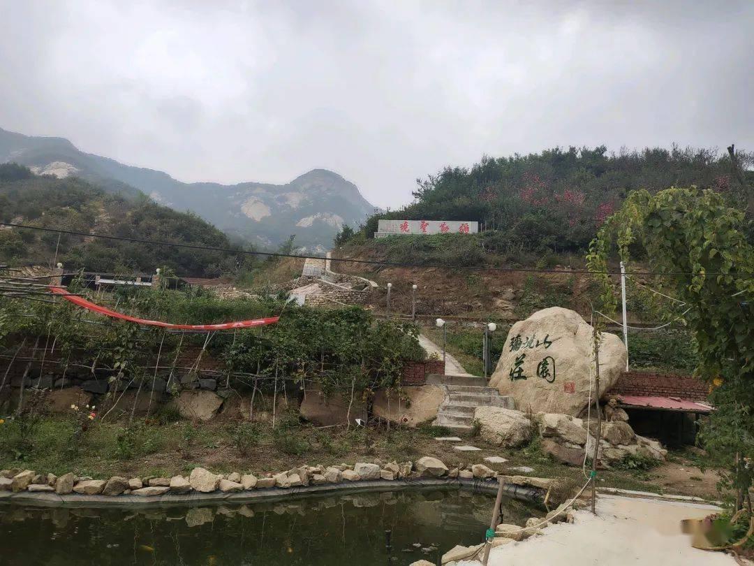虎胆熊威2中文无敌版