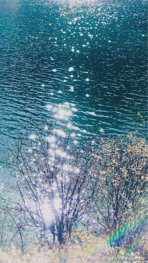 虫虫助手下载