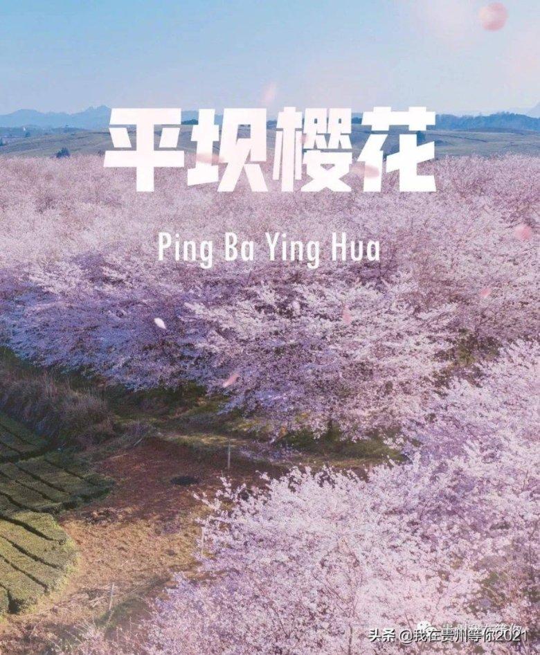 孙悦透露隐退原因