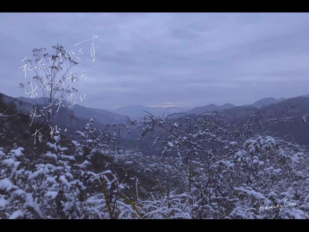 中国驻美大使馆提醒！