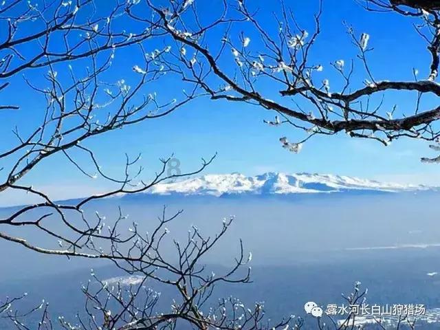 如果只有一台电视，没有机顶盒，可以连接WiFi吗？游戏画面