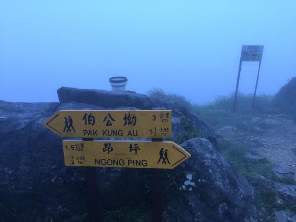 春雨直播app