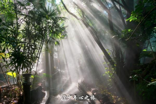 端午节的习俗有哪些游戏画面