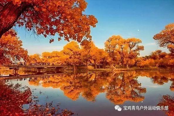 圣女战旗