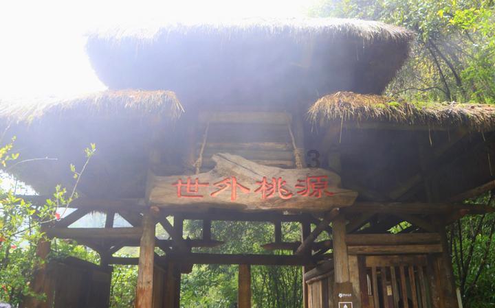 森系丛林