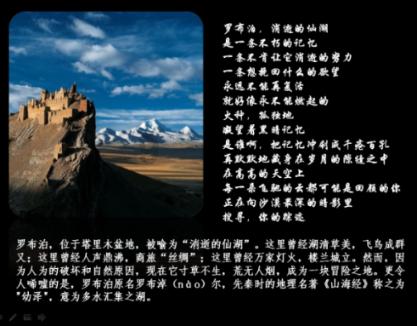 小猫钓鱼游戏龙王版有船
