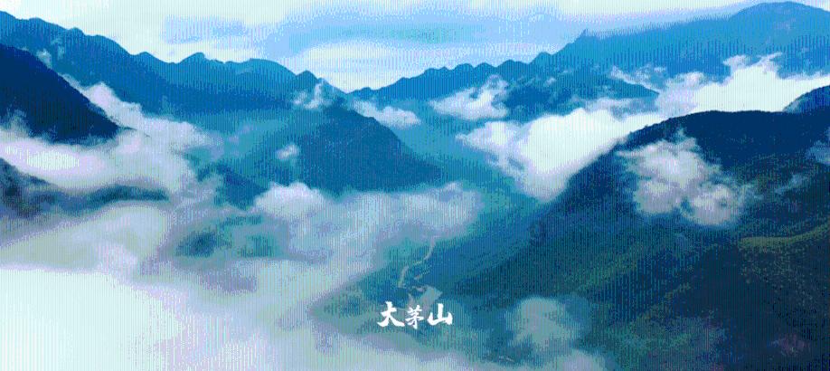 极品飞车16