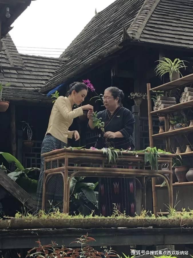 比杨洋还油，居然号称第二个胡歌：哪来的脸啊！