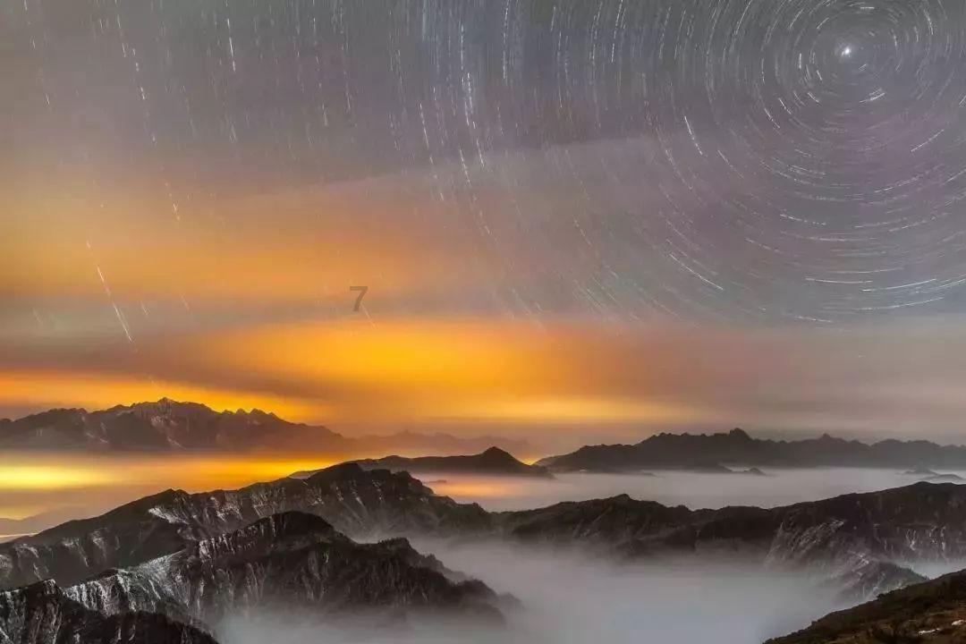 茂密丛林逃生