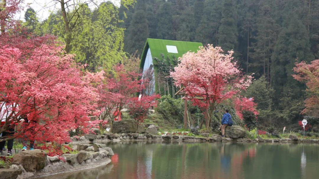 六十四象 AI水墨画:山雷为颐、泽风大过,坎水离火,咸始 恒持