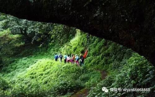 网球运动员营救