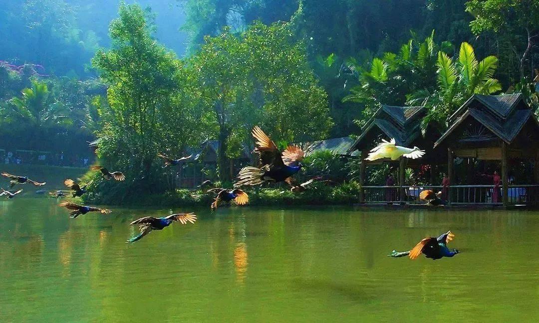 倩女幽魂手游