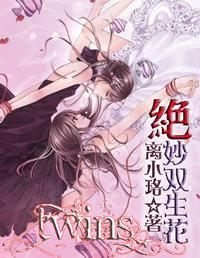 巫师2：刺客之王