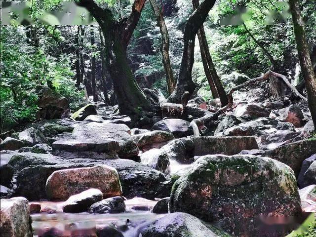 宝宝修车店